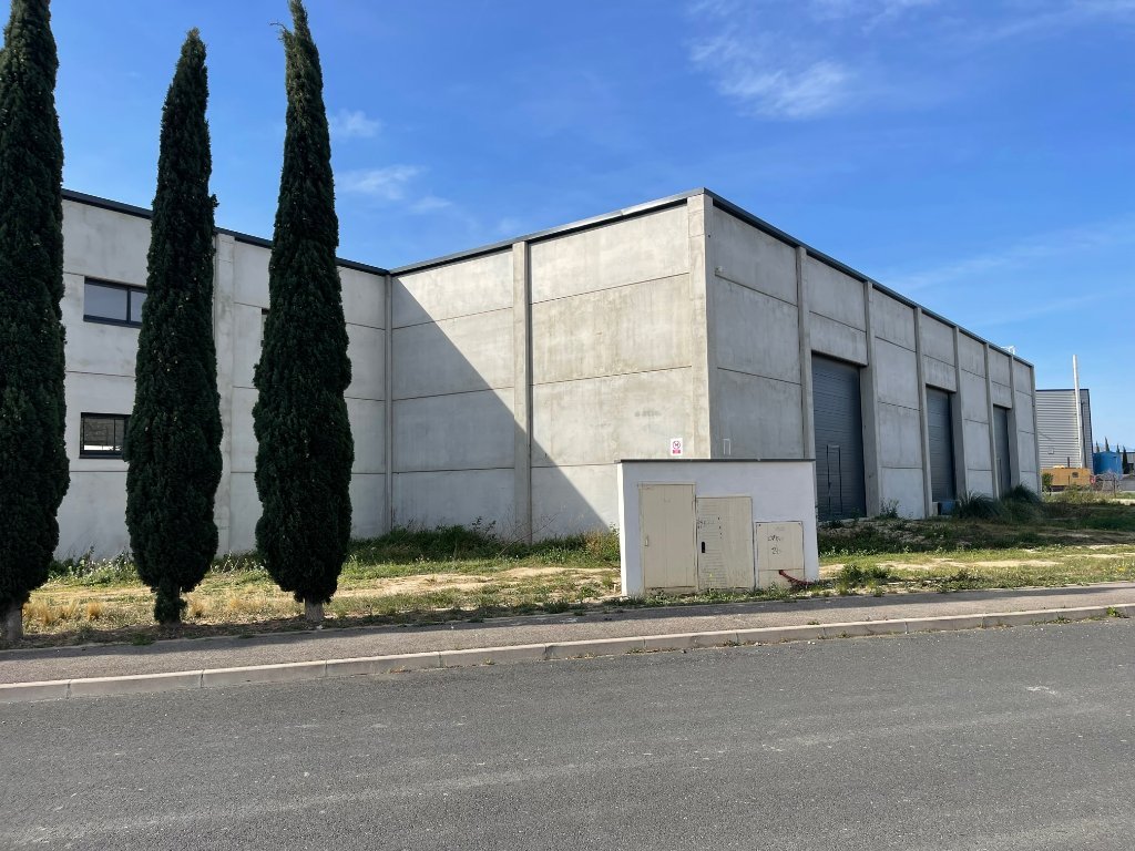 LOCAL D ACTIVITE A VENDRE - TORREILLES - 1500 m2 - 1�200�000�&euro; 
