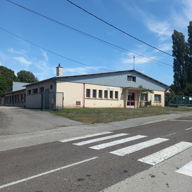 LOCAL D ACTIVITE A VENDRE - PIREY - 1200 m2 - 879750€ 